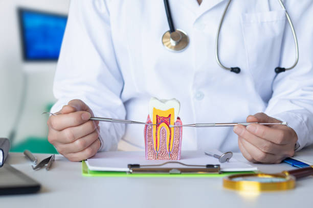 Best Urgent Tooth Repair  in Maiden, NC